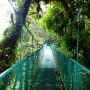 Monteverde-puente